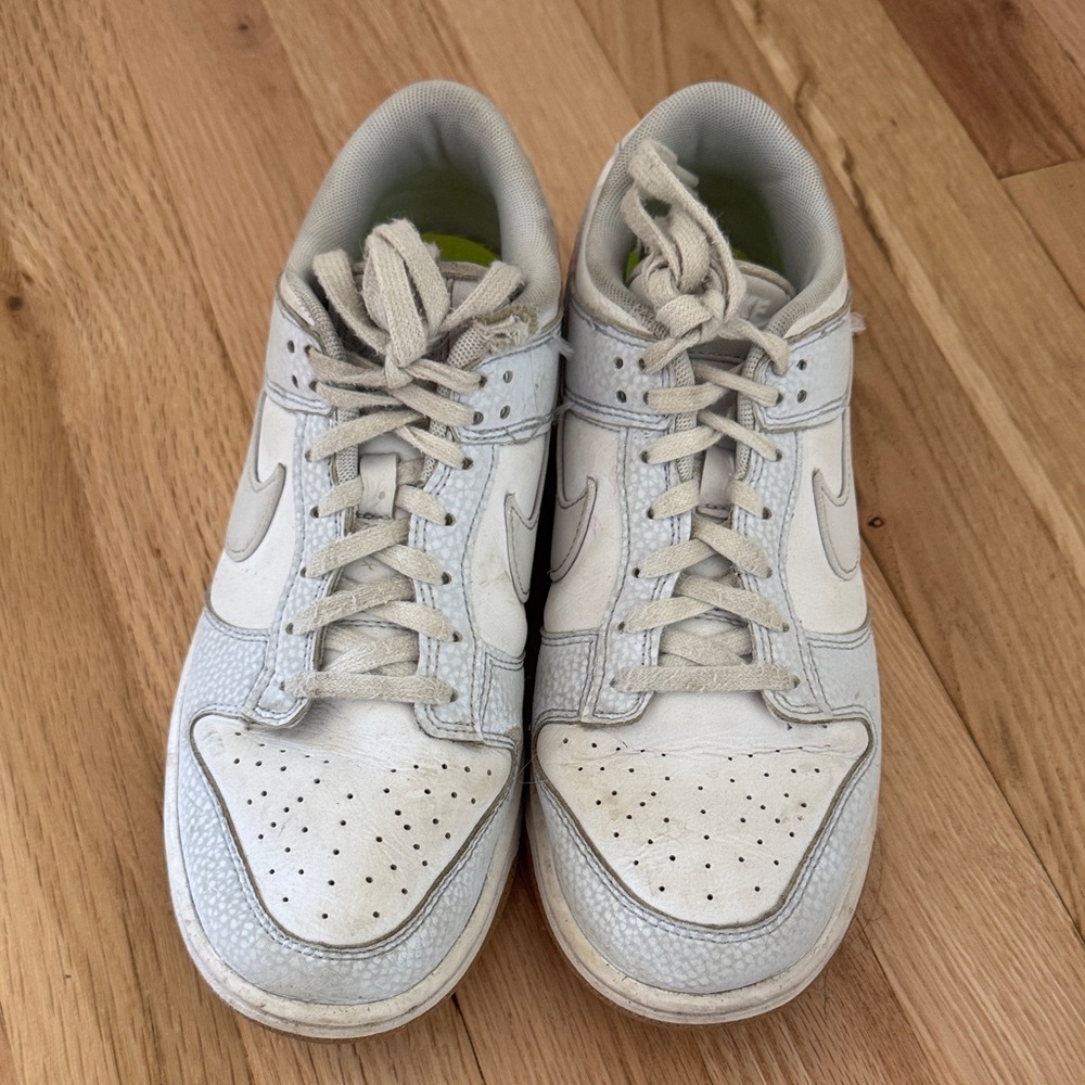 Nike Dunks Sneakers
